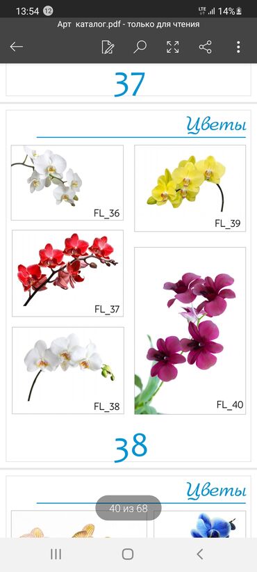 Натяжной потолок: Натяжной потолок Матовое, 3D потолки, Глянцевое — 21