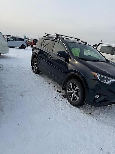 Toyota: Toyota RAV4: 2017 г., 2.5 л, Автомат, Бензин, Кроссовер — 2