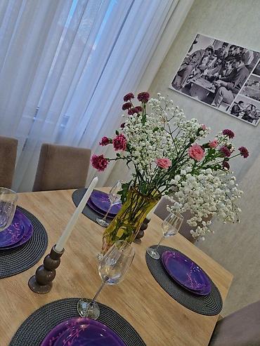Kirayə mənzillər: İcarəyə verilir 2 otaqlı yeni tikili 74 m², Şah İsmayıl Xətai m — 1