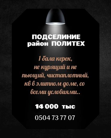 тоголок молдо фрунзе: 1 комната, Собственник, С подселением, С мебелью полностью
