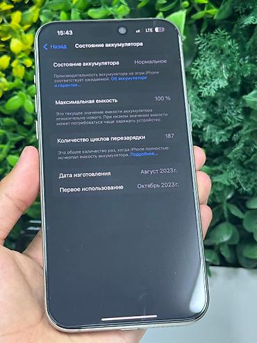 Apple iPhone: IPhone 15 Pro Max, Б/у, 256 ГБ, Natural Titanium, Кабель, Зарядное устройство, Защитное стекло, 100 % — 12