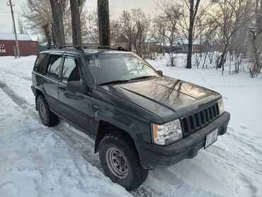 запах авто: Jeep Grand Cherokee: 1993 г., 4 л, Автомат, Газ, Внедорожник
