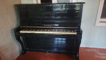 elektron gitara per page 40: Piano, Belarus, Akustik, İşlənmiş, Ünvandan götürmə — 1