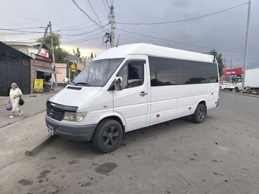 рекс спринтер пассажир: Автобус, Mercedes-Benz, 1999 г., 2.9 л, 16-21 мест