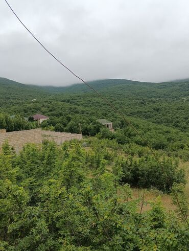 Bağ evlərinin kirayəsi: 100 kv. m, 3 otaqlı, Hovuzsuz, Artezian quyusu, Qaz, Kanalizasiya — 2