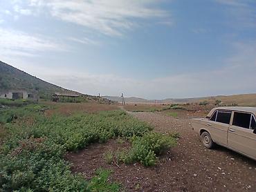 zabrat heyet evi: Ferma ve qalot satilir — 3