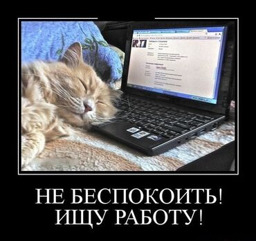 Отели, кафе, рестораны: Официант. Без опыта at lalafo.kg Отели, кафе, рестораны: Официант. Без опыта