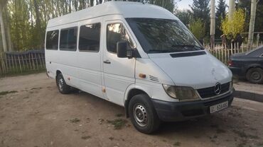 Mercedes-Benz: Mercedes-Benz Спринтер: 2001 г., 2.9 л, Механика, Дизель, Бус