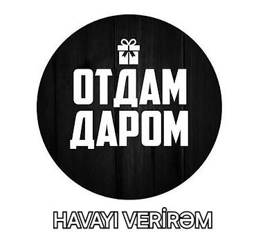 pubg uc pulsuz: Kimin imkanı nəyə çatırsa buyursun Bütün əşyalar əla ideal — 1