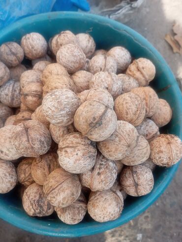 тесто катаифи бишкек цена: Грецкий орех. район Фучика Жибек жолу. 
цена 70 сом