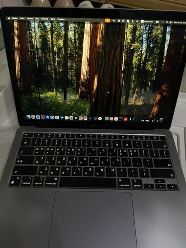 asus oled: Ультрабук, Apple, Apple M1, Для работы, учебы, память SSD