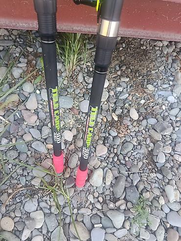kohnə pullar alıram: Balıqçılıq dəsti – Tele Carp 300 - Model: Tele Carp 300 (teleskopik — 2