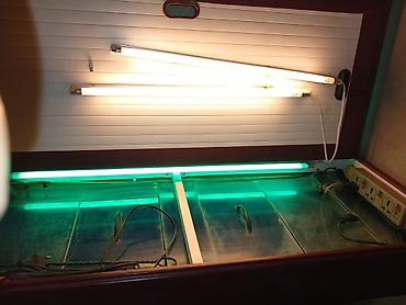akvarium daş: Dördbucaq akvarium, Boş, 297 l, Ünvandan götürmə — 8
