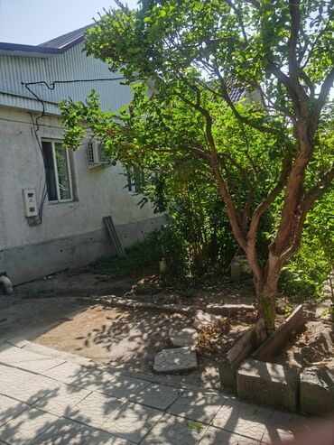 Продажа домов: Дом, 1200 м², 4 комнаты, Собственник, Косметический ремонт — 5