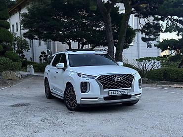 go park: Hyundai Palisade: 2021 г., Кроссовер — 1