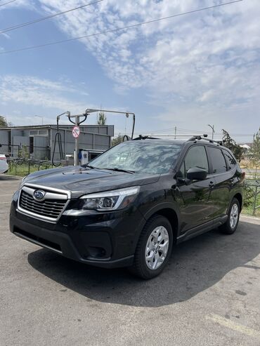 subaru forester турбо: Subaru Forester: 2019 г., 2.5 л, Вариатор, Бензин, Кроссовер