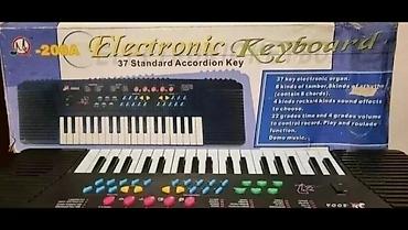blue elephant: 🔴🟠🔵ПИАНИНО РАБОТАЕТ НА БАТАРЕЙКАХ. ДЛИНА-70 СМ. ЦЕНА- 1000 СОМ — 1