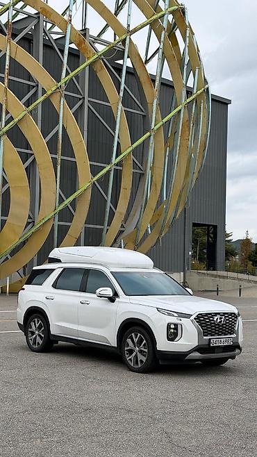 сопротивление: Hyundai Palisade: 2021 г. — 6