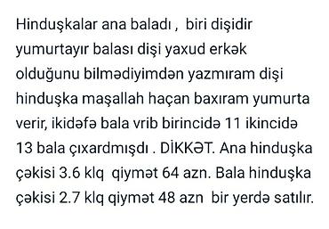 heyvan alqi satqisi: Dişi, Yumurtalıq, Ünvandan götürmə — 1