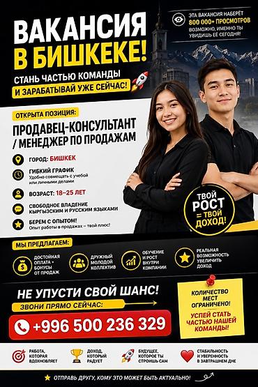high experience: Вакансия: Продавец‑консультант / Менеджер по продажам Город: Бишкек — 4