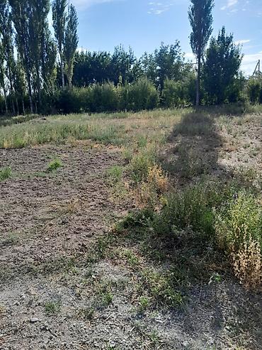с бизнесом: 5 соток, Для строительства, Тех паспорт — 3