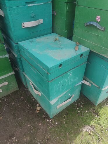 рамки для пчёл: Продаю улья улик лежаки рута 2 корпуса 1500 16 рамочные с