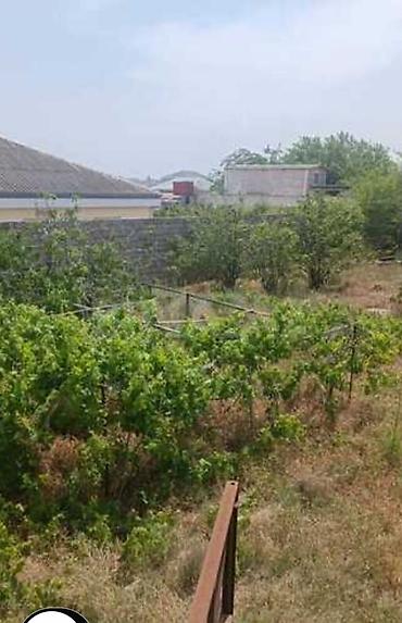 see breeze: 12 sot, Kupça (Çıxarış), Texniki pasport — 5