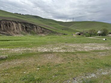 участок булан соготту: 25 соток, Бизнес үчүн, Кызыл китеп, Сатып алуу-сатуу келишими