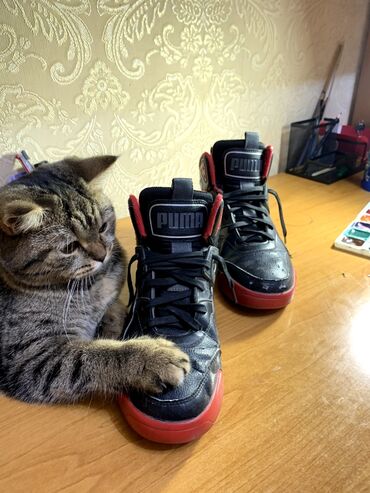 б у мужская спортивная обувь: Мужские кроссовки, 35, Puma, Б/у, цвет - Черный, Самовывоз