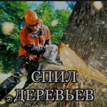 авто российской номерами: ПРОФЕССИОНАЛЬНЫЙ СПИЛ ДЕРЕВЬЕВ В Новопавловке и Воено Антоновке. •