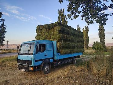 ищу спринтер: Mercedes-Benz Спринтер: 1997 г., 6 л, Механика, Дизель, Лимузин — 7