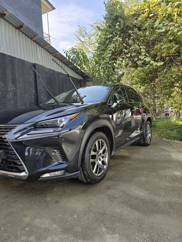 машины на заказ из кореи: Lexus NX: 2021 г., 2.5 л, Вариатор, Гибрид, Кроссовер