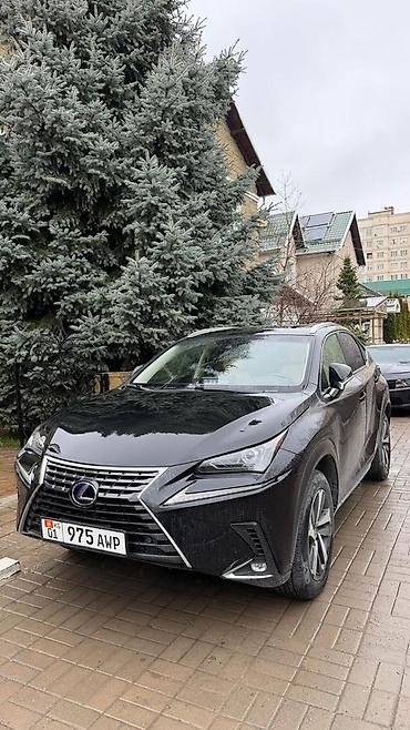 300h: Lexus NX: 2019 г., 2.5 л, Вариатор, Гибрид, Кроссовер — 2