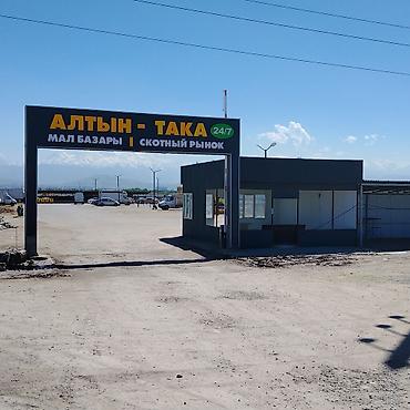 Продажа павильонов: Продажа павильонов 15 м², Утеплен — 3