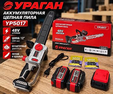 Оборудование для бизнеса: Цепная электропила Новый, Аккумуляторные, Ураган — 2
