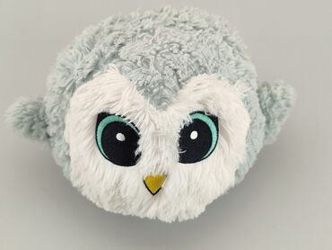 Toy
