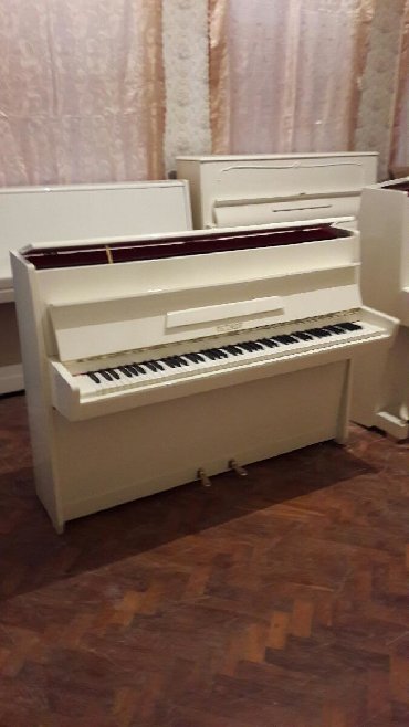 Klavişli alətlər: Pianino PETROF Cexya stehsalı. Cadırılma və köklənmə qiymətə Daxildi