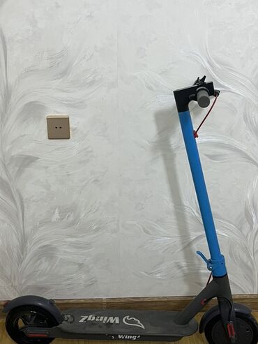 электро сомакат: Elektrik skuter – WingZ - Rəng: mavi gövdə, qara gövdə elementləri -