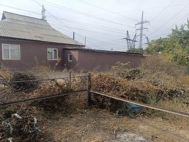 бесплатно дрова: Отдам даром сухие ветки и кустарник для растопки/щепы/мульчи. -