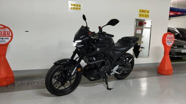 купить гбо: КУПЛЮ!!!

Yamaha mt 03-20