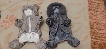 Geyimlər: Красивыекачественные почти новые вещи на маленьких собачек. Все в — 2