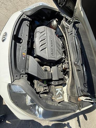 Kia: Kia Sportage: 2020 г., Дизель, Кроссовер — 23