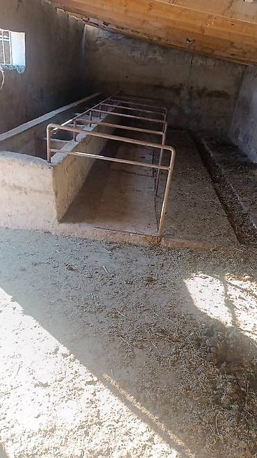 Продажа участков: 5 соток — 3