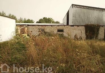 Продажа дач: Продаю дом городе Токмок село Алга Красная Кинга сарай веременка двух — 19