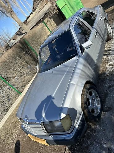 Mercedes-Benz: Mercedes-Benz W124: 1991 г., 2.6 л, Механика, Бензин, Седан — 2