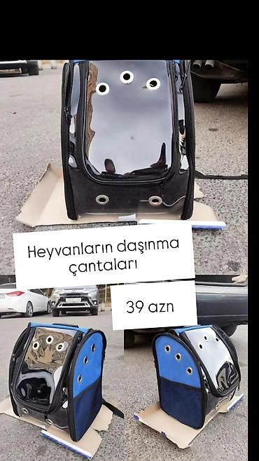 heyvan daşıma cantası: Heyvanların üçün daşınma çantası satılır, bir yerdən başqa yerə — 1