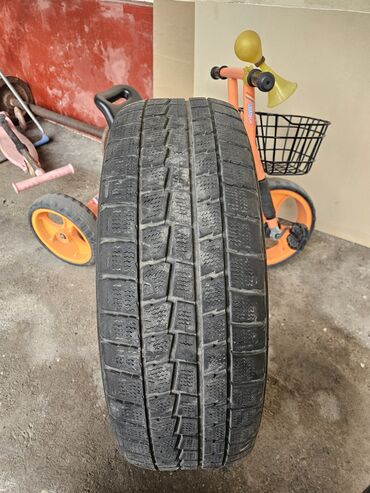 спорт резина: Шиналар 185 / 60 / R 15, Кыш, Колдонулган, Жеңил унаалар, Dunlop