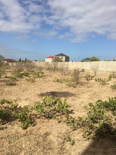 Torpaq sahələrinin satışı: 25 sot, Tikinti, Makler, Kupça (Çıxarış) — 8