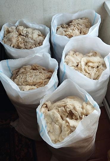 saxta baba papaqlari: Təzə, yumuşaq, iri yun satılır. 1 kq 5 azn. 17-18 kq var. Real — 1