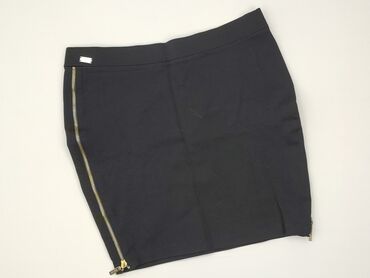 Women`s skirt, Elisabetta Franchi, size L (EU 40)